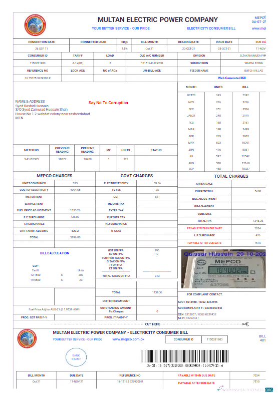 download download PAKISTAN MULTAN ELECTRIC POWER utility bill Word and PDF template PDF template PDF template